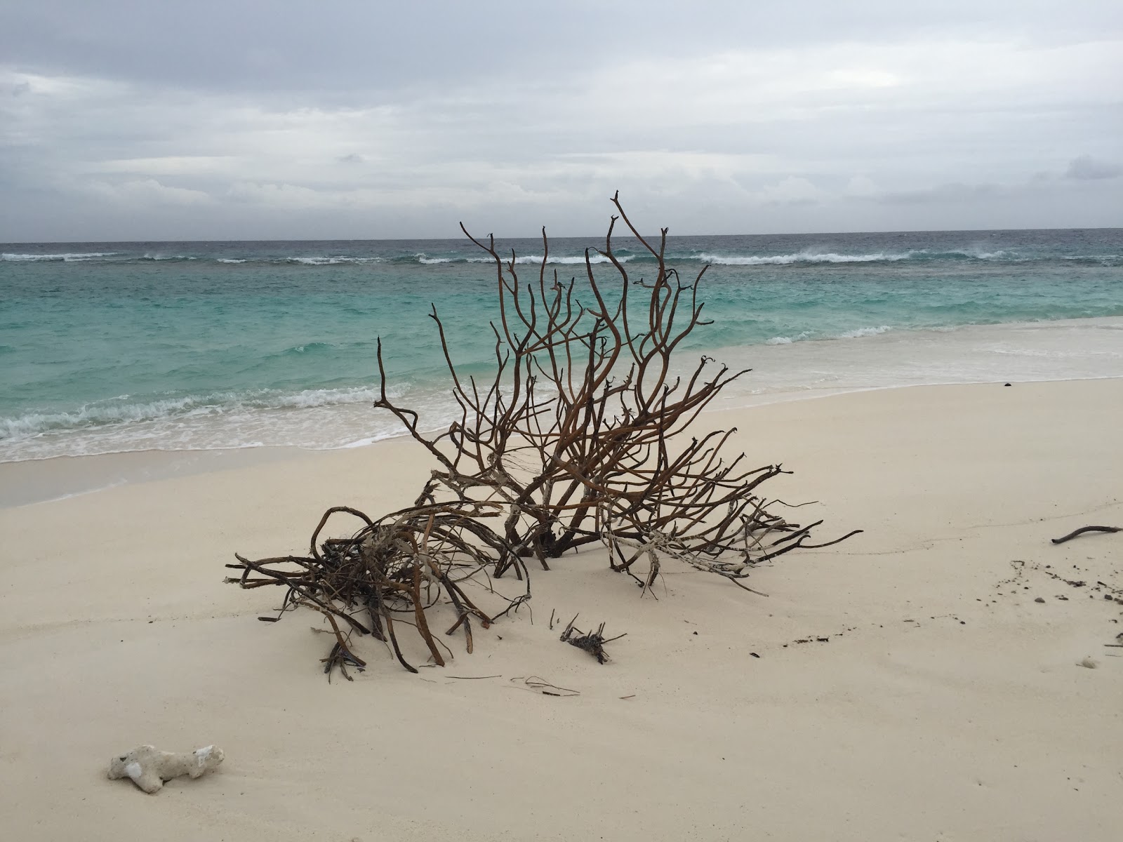 Thundi Island Beach'in fotoğrafı çok temiz temizlik seviyesi ile