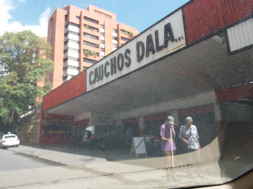 Cauchos Dala C.A.