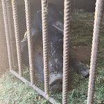 Photo n°2 de l'avis de Alberto.a fait le 03/06/2021 à 14:19 sur le  Salumificio Livasi à Spilinga