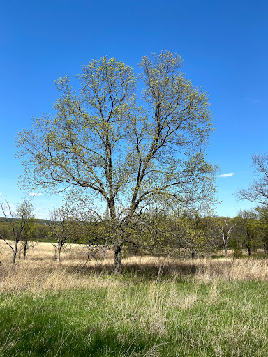 Nature Preserve «Shaw Nature Reserve», reviews and photos, 307 Pinetum Loop Rd, Gray Summit, MO 63039, USA