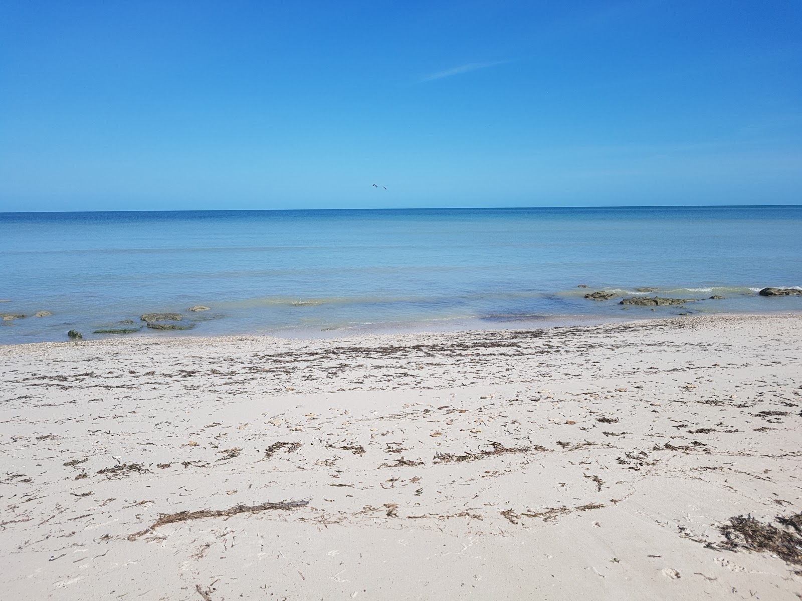 Foto de Playa Punta Xen con agua cristalina superficie