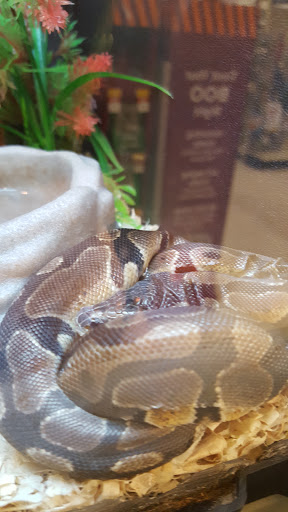 Pet Supply Store «PetSmart», reviews and photos, 625 W Crossville Rd, Roswell, GA 30075, USA