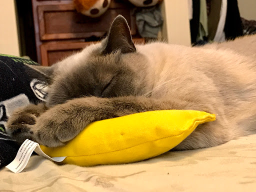 Pet Supply Store «Mud Bay», reviews and photos, 148 SW 148th St b130, Burien, WA 98166, USA