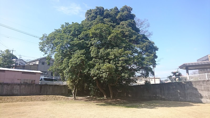 谷山病院