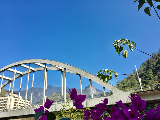 苗栗縣泰安鄉美食 青山琳客家美食 網友評價 菜單 推薦餐點 食記 外送優惠 飢餓黑熊app