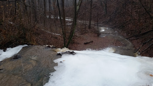 Nature Preserve «Kokiwanee Nature Preserve», reviews and photos, 5825 E 50 S, Lagro, IN 46941, USA