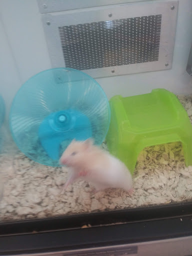 Pet Supply Store «Petco Animal Supplies», reviews and photos, 1694 Boston Rd, Springfield, MA 01129, USA