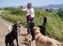 Precious Pets Animal Care of Marin - Photo 9 - Car repair in , San Francisco