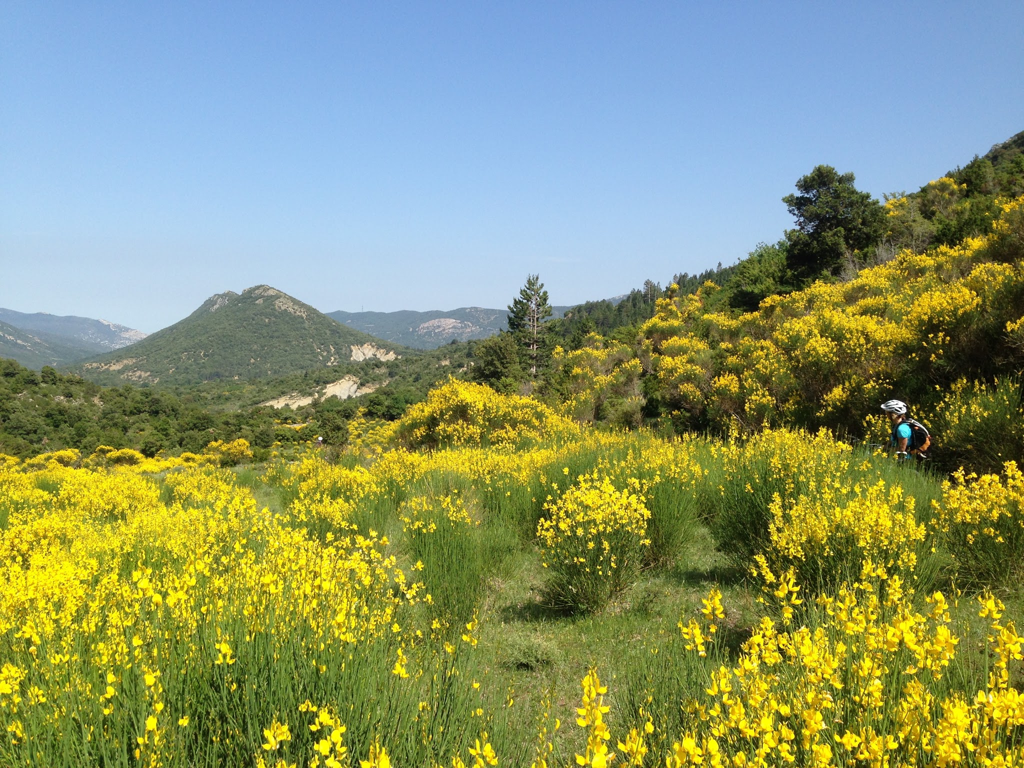 Photo n° 2 de l'avis de Bernard.a fait le 30/05/2017 à 13:32