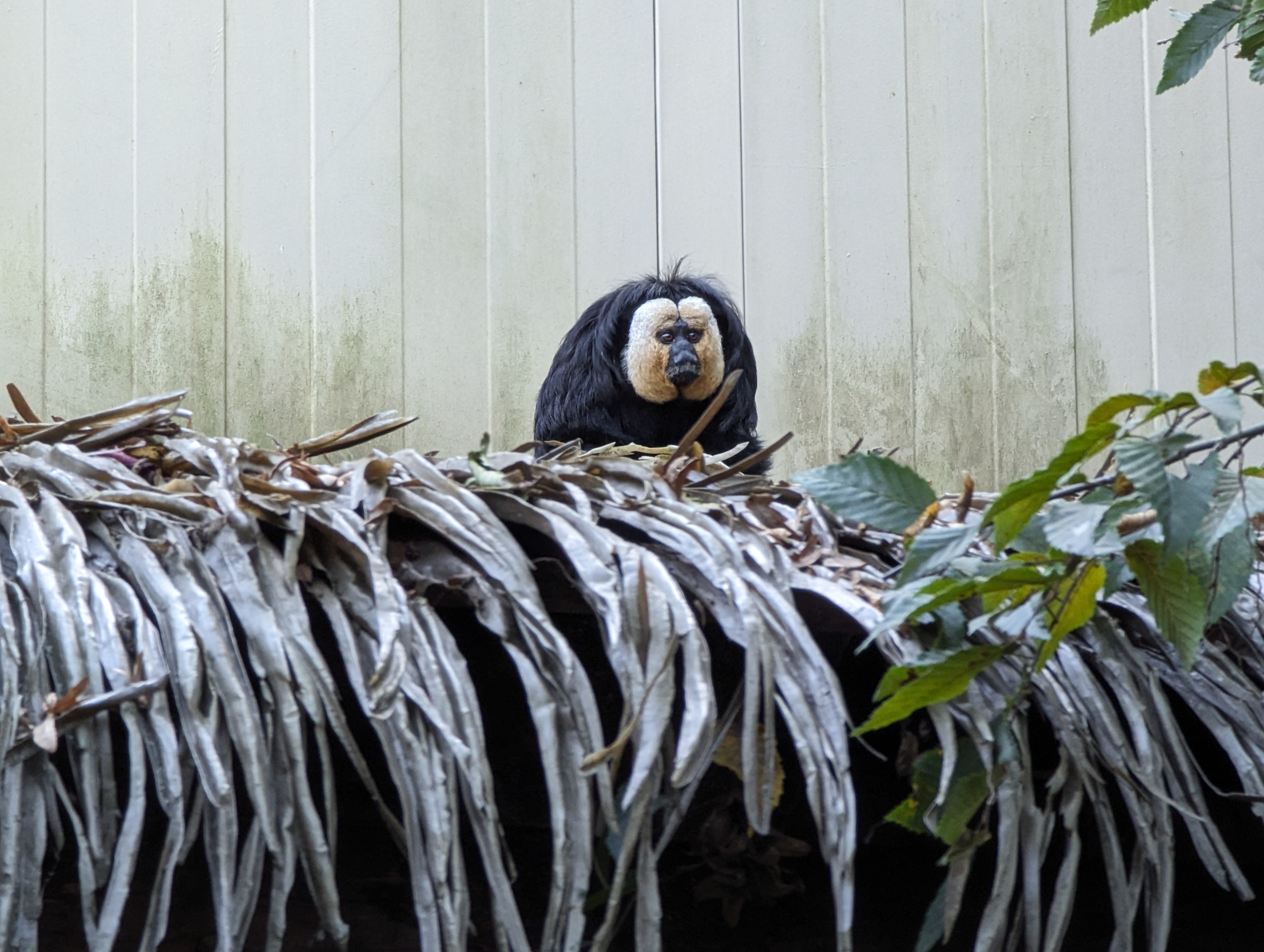 Photo n° 4 de l'avis de Thibaud.l fait le 10/10/2023 à 07:10