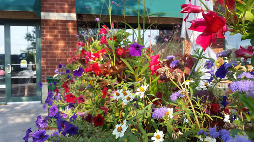 Coffee Shop «Starbucks», reviews and photos, 7802 Olson Memorial Hwy, Golden Valley, MN 55427, USA