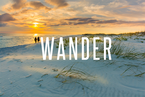 Wander Media Company