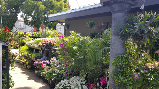 Florist «The Green Fashion Florist», reviews and photos, 915 S Claremont St, San Mateo, CA 94402, USA
