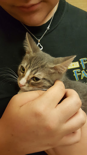 Pet Supply Store «PetSmart», reviews and photos, 916 Loganville Hwy, Bethlehem, GA 30620, USA