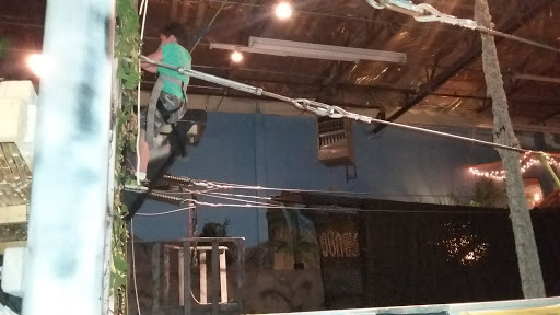 Amusement Center «JungleQuest», reviews and photos, 8000 S Lincoln St, Littleton, CO 80122, USA