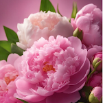 Photo n° 1 de l'avis de Olfa.a fait le 02/03/2024 à 15:52 pour Dr Hassina LALLALI BOUSTEILA à Paris