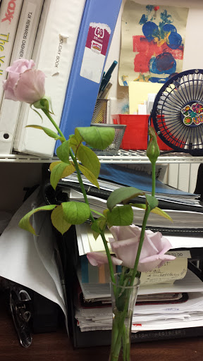 Department Store «T.J. Maxx», reviews and photos, 37055 Groesbeck Hwy, Charter Twp of Clinton, MI 48036, USA