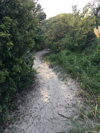 Tourist Attraction «Beach Access», reviews and photos, Alantic Ave, Pawleys Island, SC 29585, USA