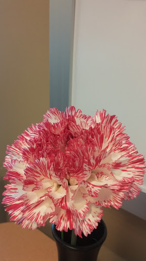 Fast Food Restaurant «Chick-fil-A», reviews and photos, 12101 Seal Beach Blvd, Seal Beach, CA 90740, USA