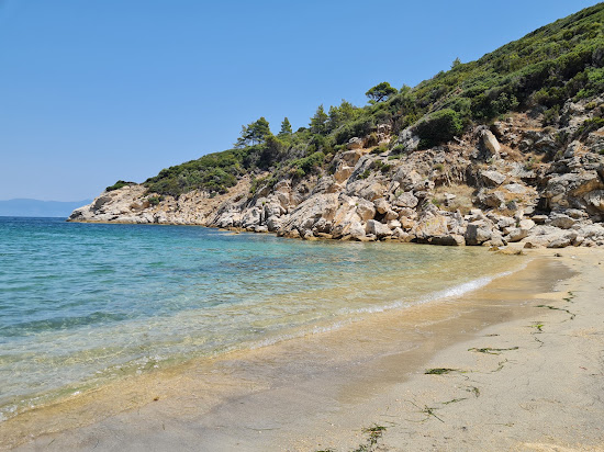 Sythonia wild beach X