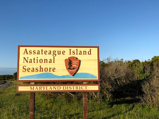 National Park «Assateague Island National Seashore», reviews and photos, 7206 National Seashore Ln, Berlin, MD 21811, USA