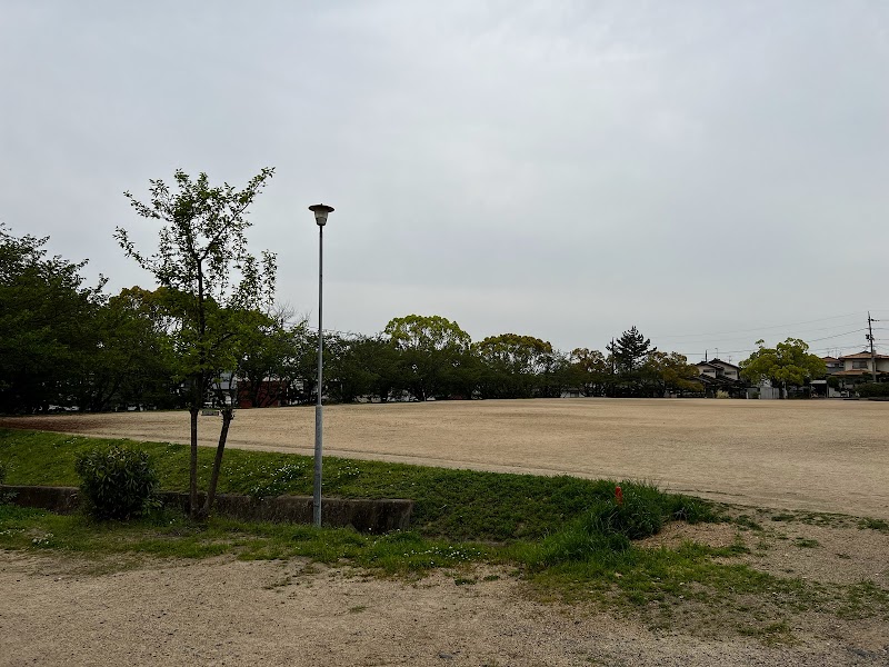 幕山台中央公園