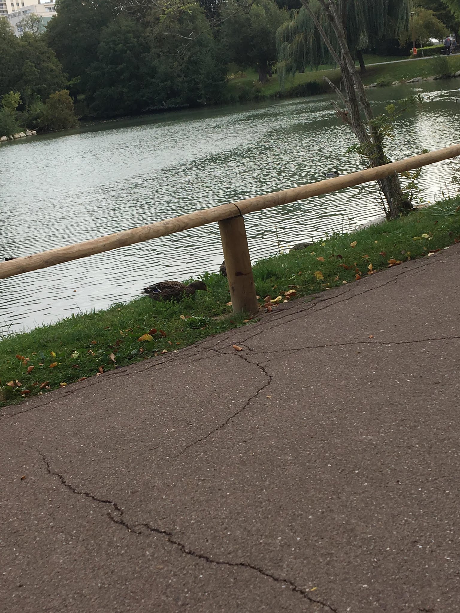 Photo n° 8 de l'avis de Youssef. fait le 20/10/2019 à 10:43