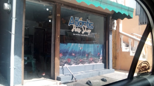Atlantis Pet Shop