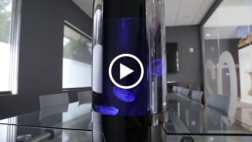 Aquarium «Jellyfish Art», reviews and photos, 4801 Johnson Rd Suite 10, Coconut Creek, FL 33073, USA