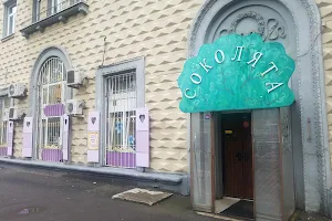 Детский центр Соколята image