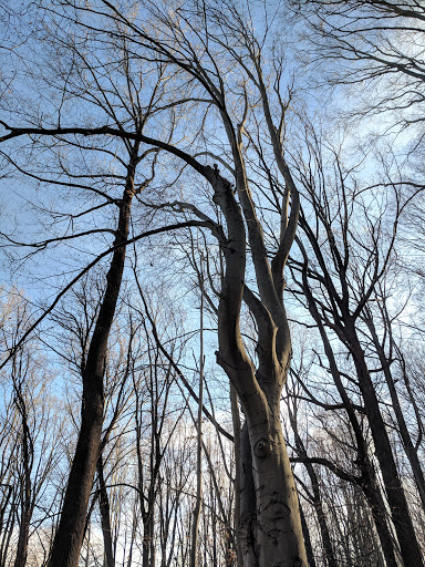 Park «Fairfax Villa Park», reviews and photos, 11399 Park Dr, Fairfax, VA 22030, USA