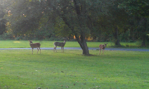 Community Park «Middletown Community Park», reviews and photos, 2600 Langhorne Yardley Rd, Langhorne, PA 19047, USA