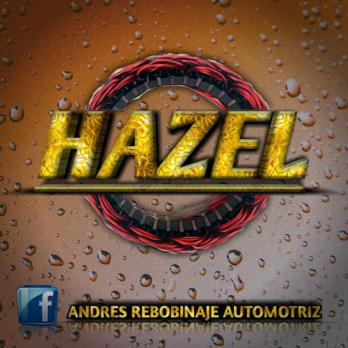 Opiniones de REBOBINAJE AUTOMOTRIZ HAZEL en Guayaquil - Taller de reparación de automóviles