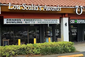 Lou Scalia's Awards image
