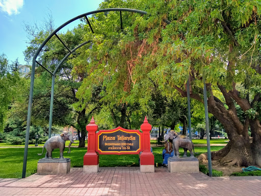 Araucano Park