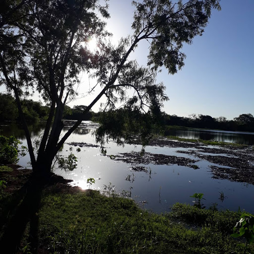 Helados Polijub - Ice cream shop en Goya