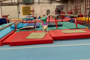 Barnsley Gymnastics Club image
