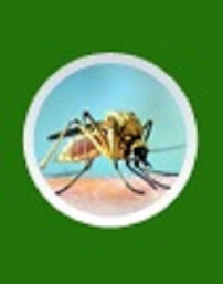 AAA Exterminating Company - Photo 4 - Car repair in Boston, MA, Boston