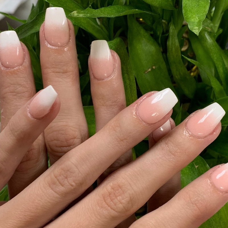 The Elegant Nails and Spa