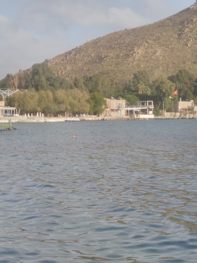 Kefaluka Tio'Ss Nargile