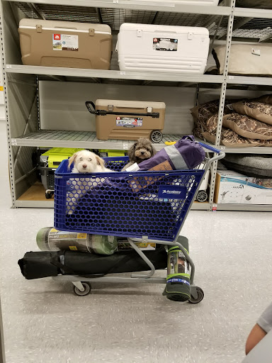 Sporting Goods Store «Academy Sports + Outdoors», reviews and photos, 130 S Hampton Pl, Clarksville, TN 37040, USA