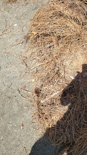 Landscaping Supply Store «SiteOne Landscape Supply», reviews and photos, 135 Mt Carmel Rd, McDonough, GA 30253, USA