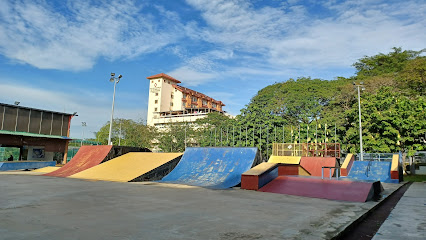 Arena Skatepark PJ