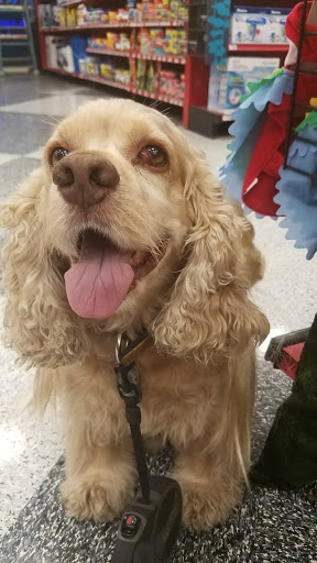Pet Supply Store «Petco Animal Supplies», reviews and photos, 1250 William D Tate Ave #200, Grapevine, TX 76051, USA