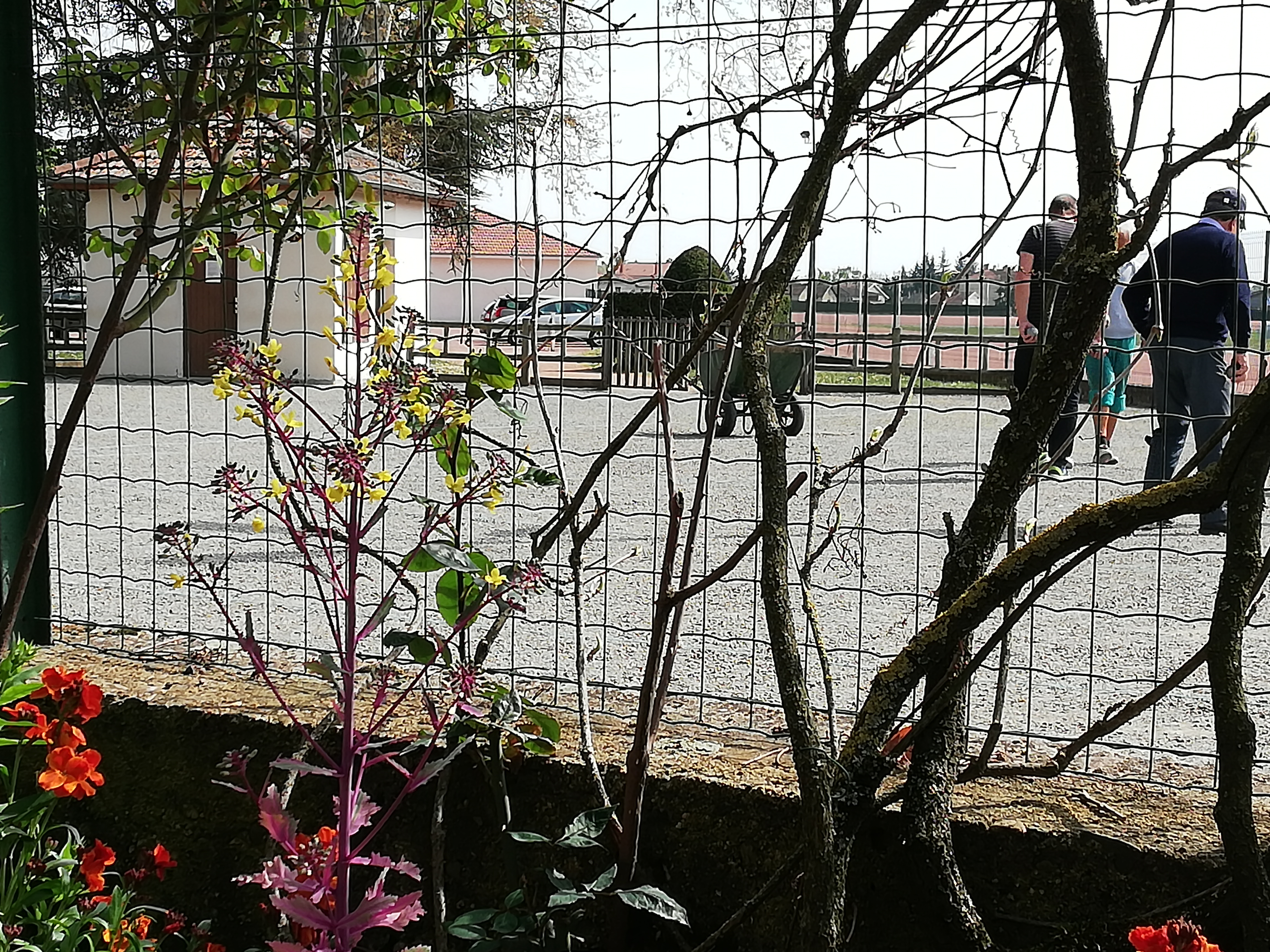 Photo n° 6 de l'avis de Bernard.o fait le 18/04/2019 à 20:54