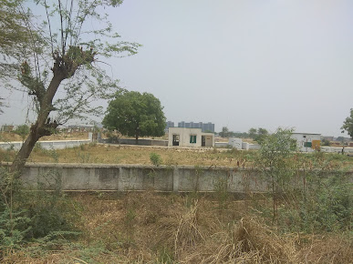 Google Maps image 15