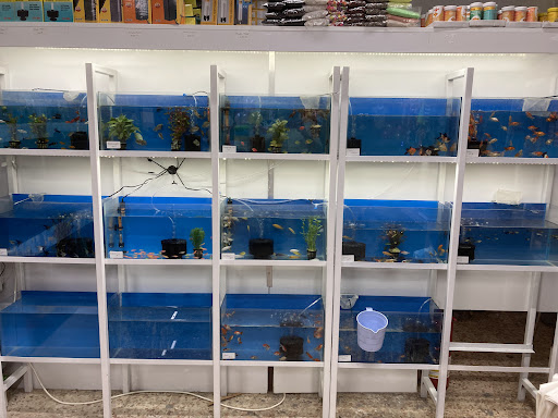 Eylül Petshop & Pet Butik | Efeler Aydın - Evcil hayvan mağazası