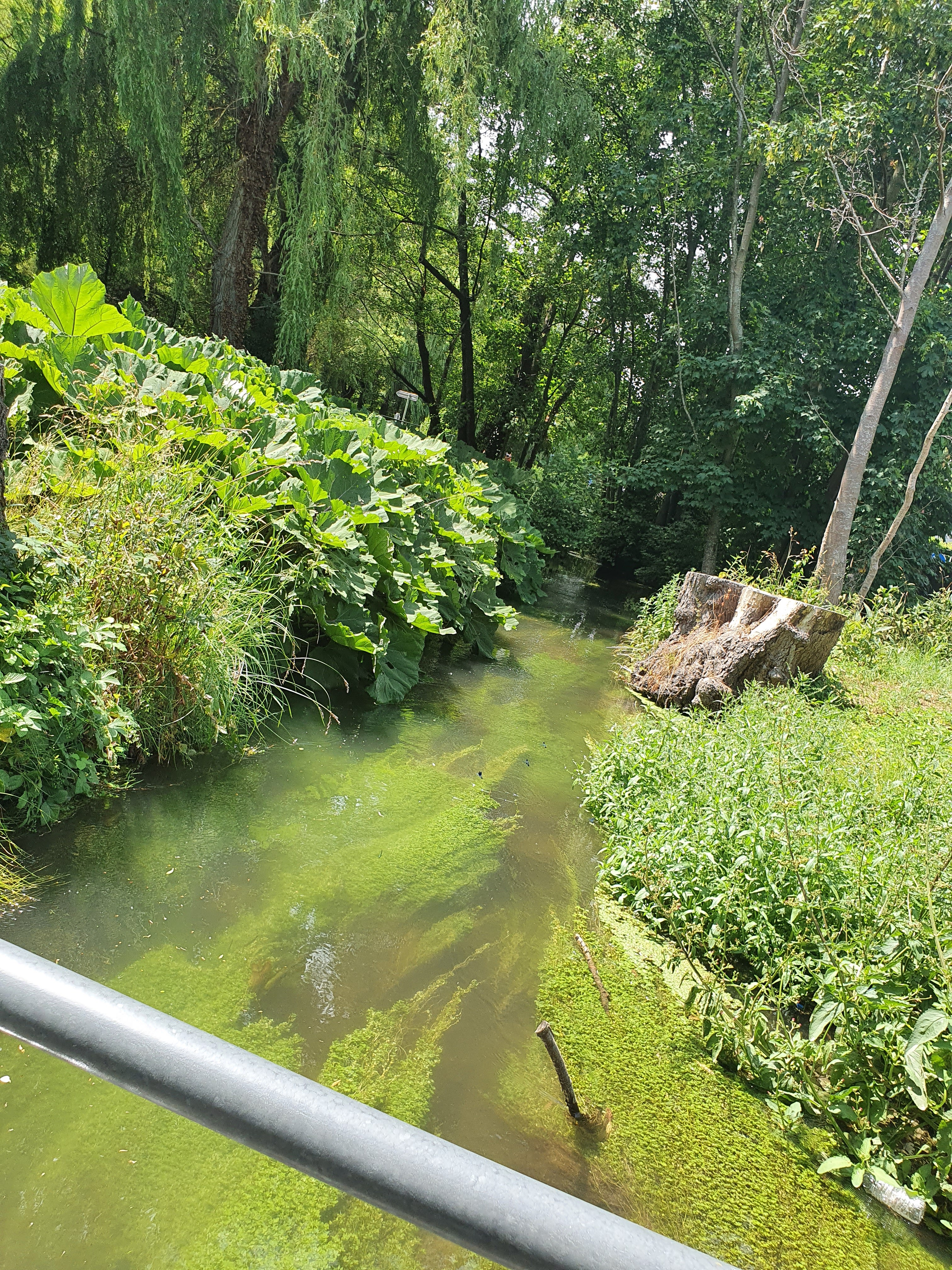 Photo n° 5 de l'avis de Nadia.o fait le 20/06/2023 à 07:55