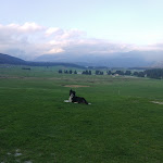 Photo n°5 de l'avis de Maria.o fait le 09/09/2020 à 18:27 sur le  Casera Le Rotte à Pian del Cansiglio