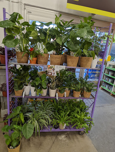 Home Improvement Store «The Home Depot», reviews and photos, 1000 Vision Dr, Apex, NC 27523, USA